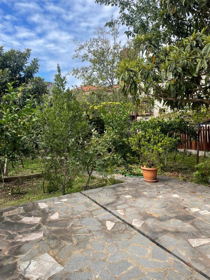 Gardenie Διαμέρισμα Κουτάισι Εξωτερικό φωτογραφία