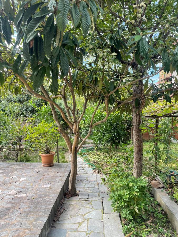 Gardenie Διαμέρισμα Κουτάισι Εξωτερικό φωτογραφία